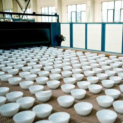 comprare Impianto di lavorazione di vetro a 12 pollici termoresistente di Opal Glass Plate online manufacture