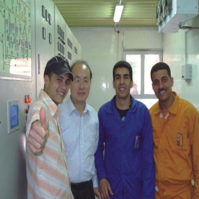 comprare Funzionamento d'oltremare delle soluzioni di impiantista di JEFFER ISO45001 online manufacture