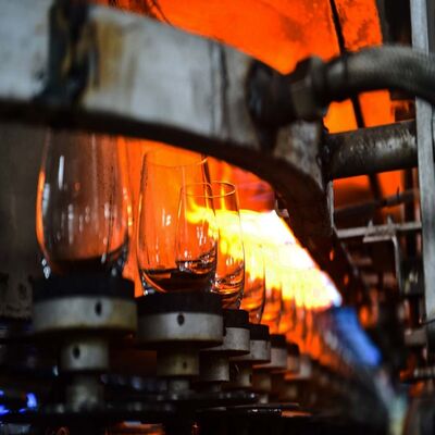 comprare 60TPD Linea di produzione di vetro per utensili da tavola Tazza trasparente per uso quotidiano online manufacture